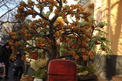 adventi vasar (2)