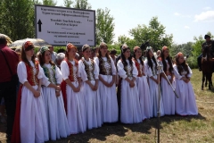 Turul - Ünnepség 2014 (13)